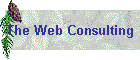 The Web Consulting